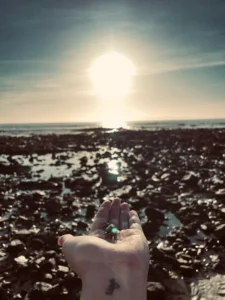 Shining Crab