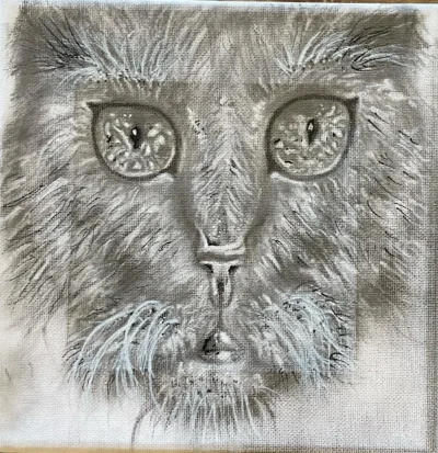 Cat face
